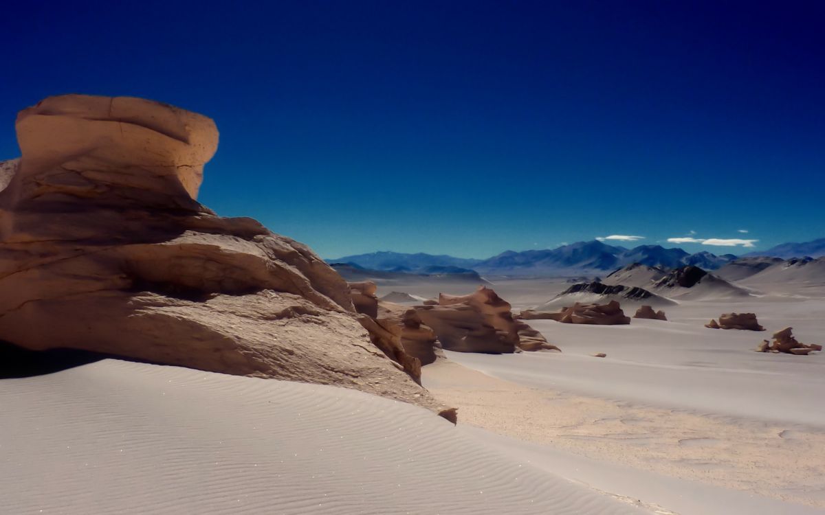 Salta Salta